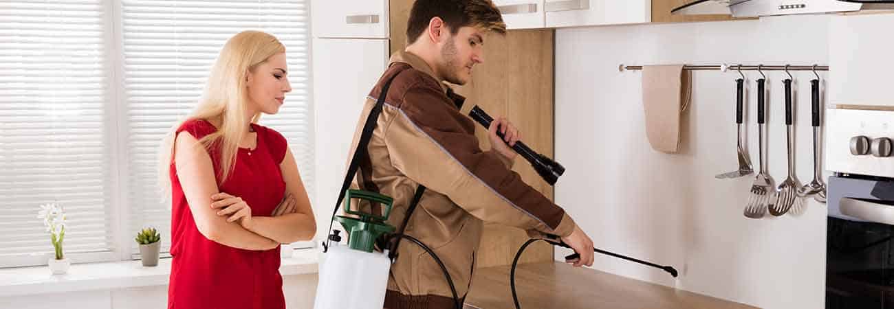 termite control using bait stations in cambridge