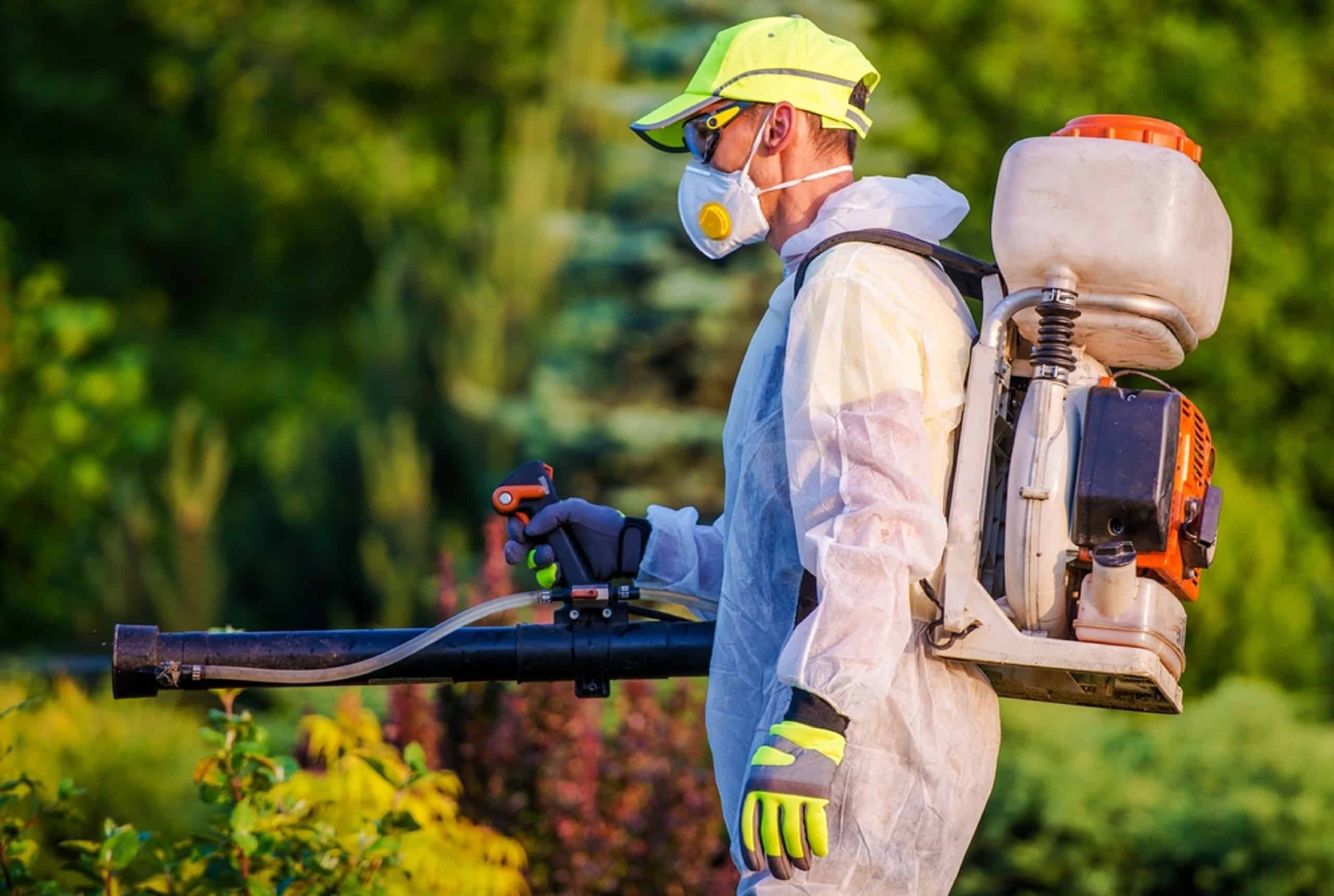 Technician performing pest control treatment in a Kitchener home in 2026 during Spring.