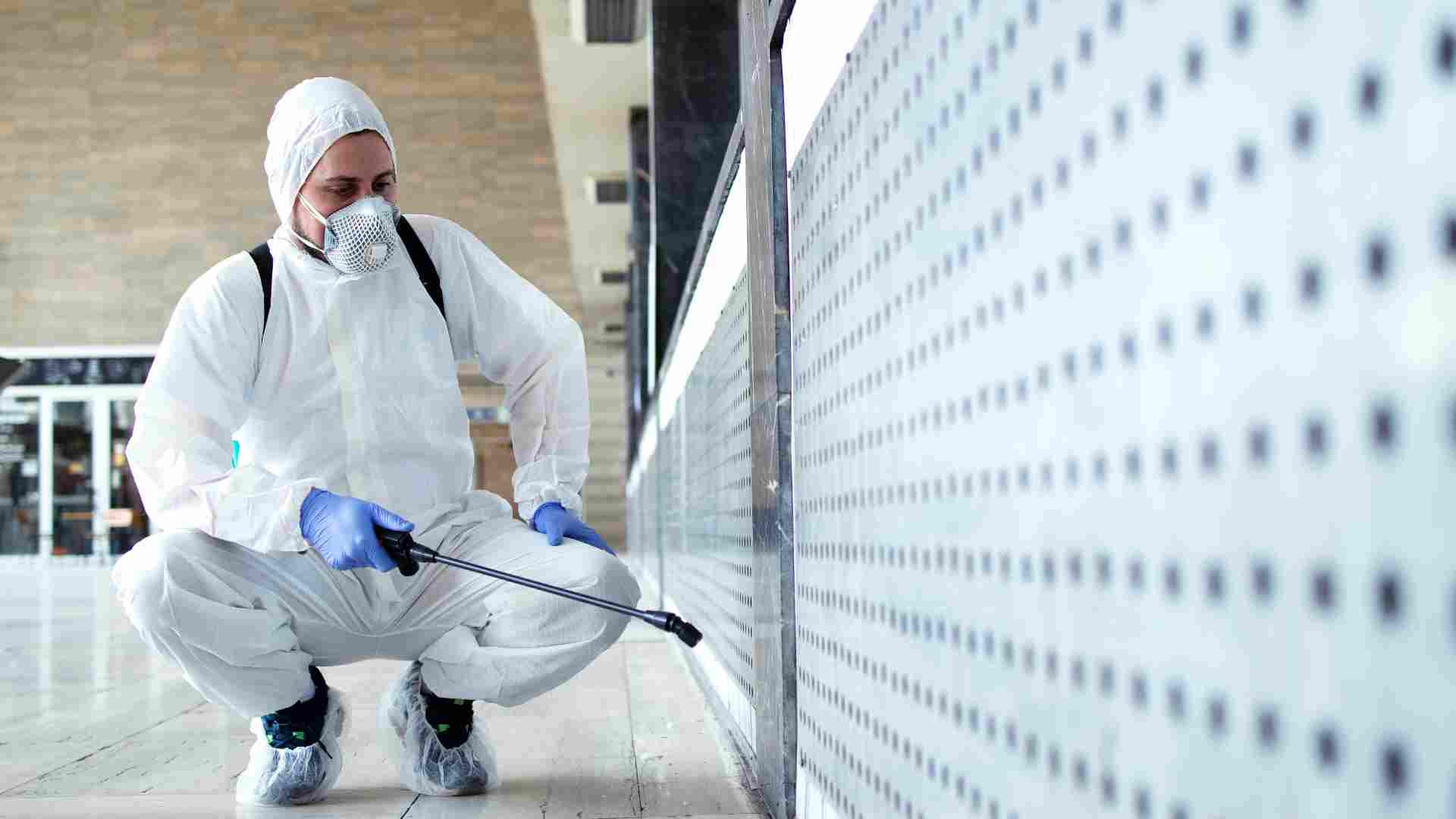 Professional home pest inspection in Brampton 2026