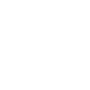 Affordable Bee Extermination