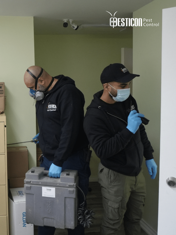 Pesticon technician performing cockroach control treatment in Toronto