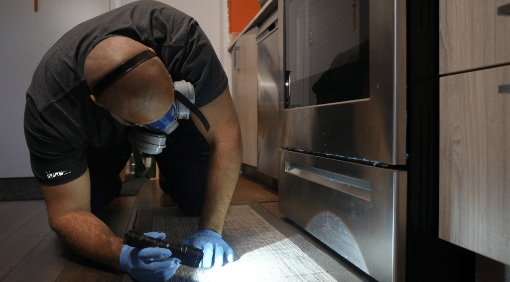 Pesticon technician inspecting kitchen floor and appliance area for pest activity