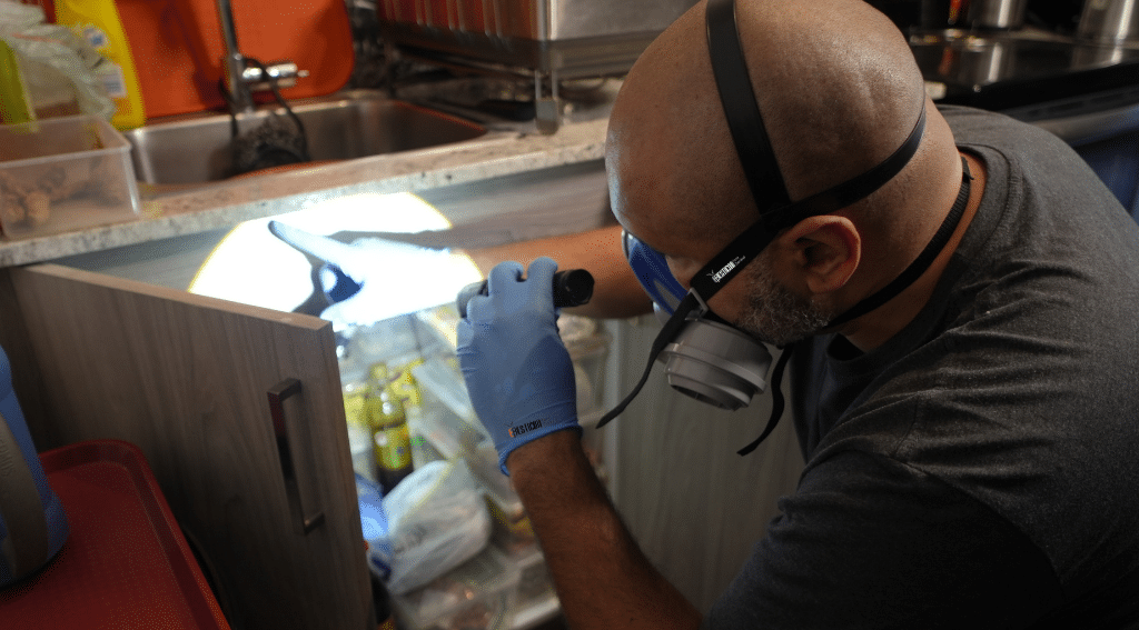 Pesticon technician inspecting kitchen cabinet interior during professional pest treatment