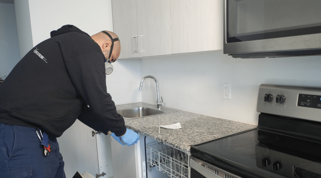 Pesticon pest control oakville technician inspecting kitchen sink and dishwasher area for pests