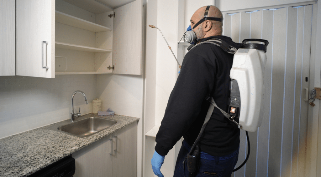 Pesticon technician applying interior pest treatment inside residential kitchen cabinets