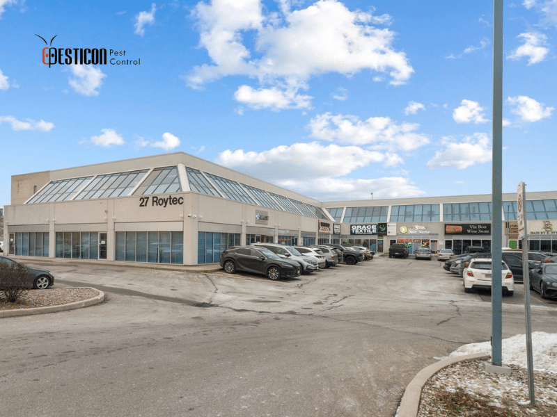 Commercial plaza serviced by Pesticon for professional pest management solutions