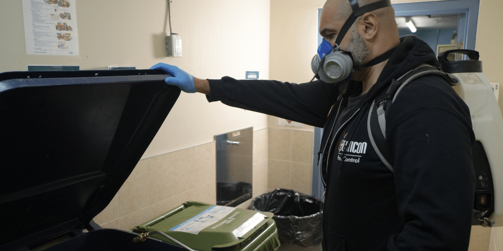 Pesticon restaurants pest control process showing technicians inspecting a Toronto restaurant kitchen