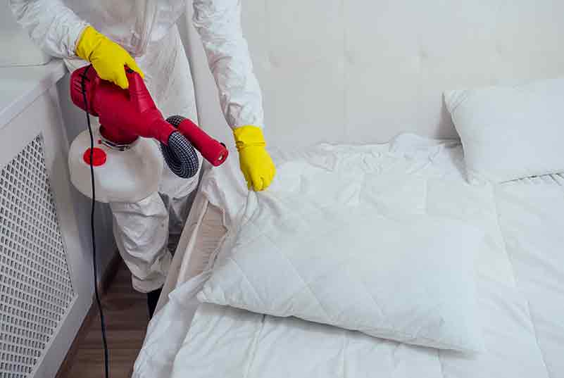 bed bug removal mississauga 10