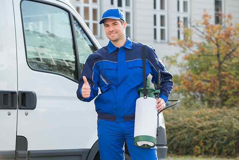 commercial pest control mississauga 05