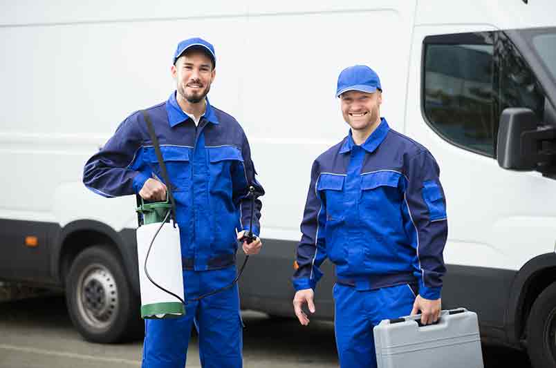 commercial pest control mississauga 06