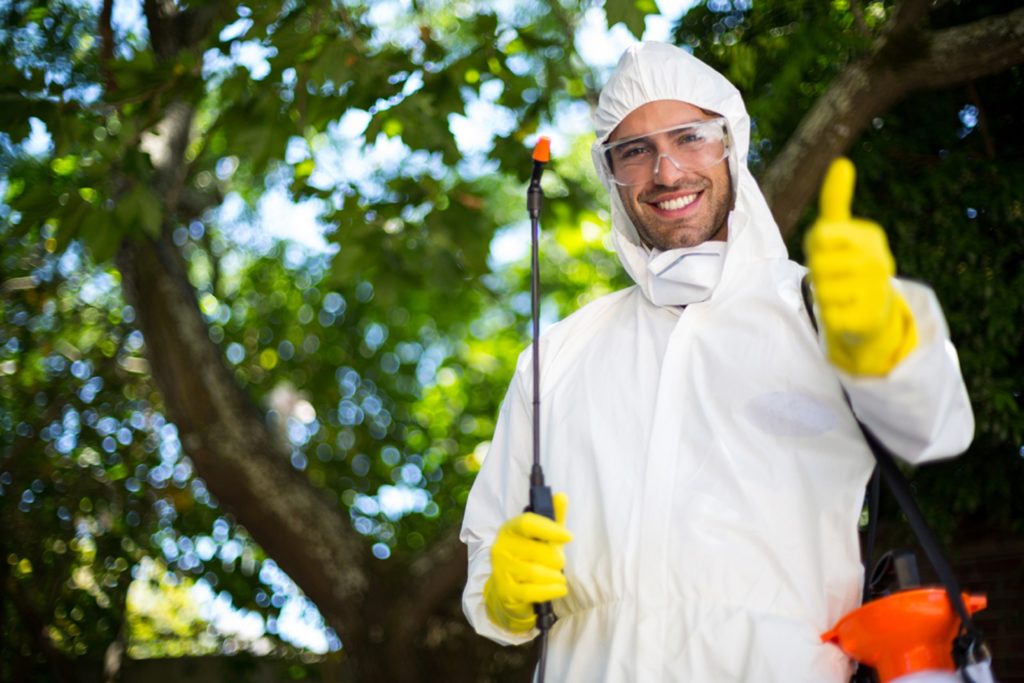 How Often Should Pest Control Be Done in Kitchener?