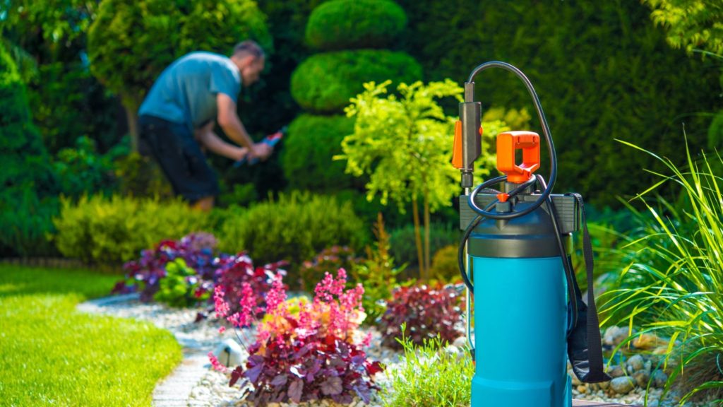 the best ways to pest proof your garden