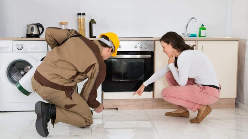 9 questions you can ask your pest control company in kitchener