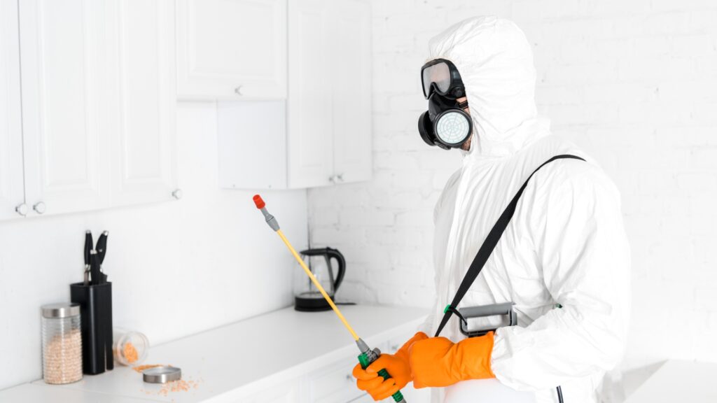 is it necessary to clean the house after pest control