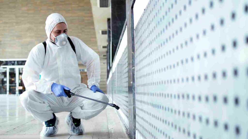 what to expect during a professional home pest inspection