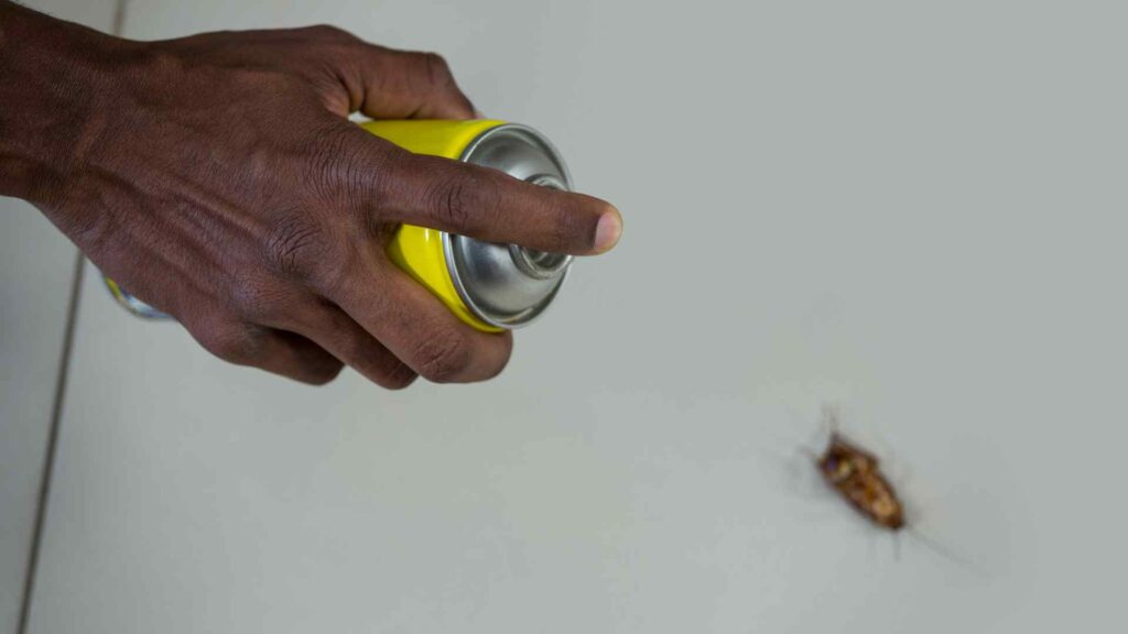 4 natural pest control methods you havent tried yet