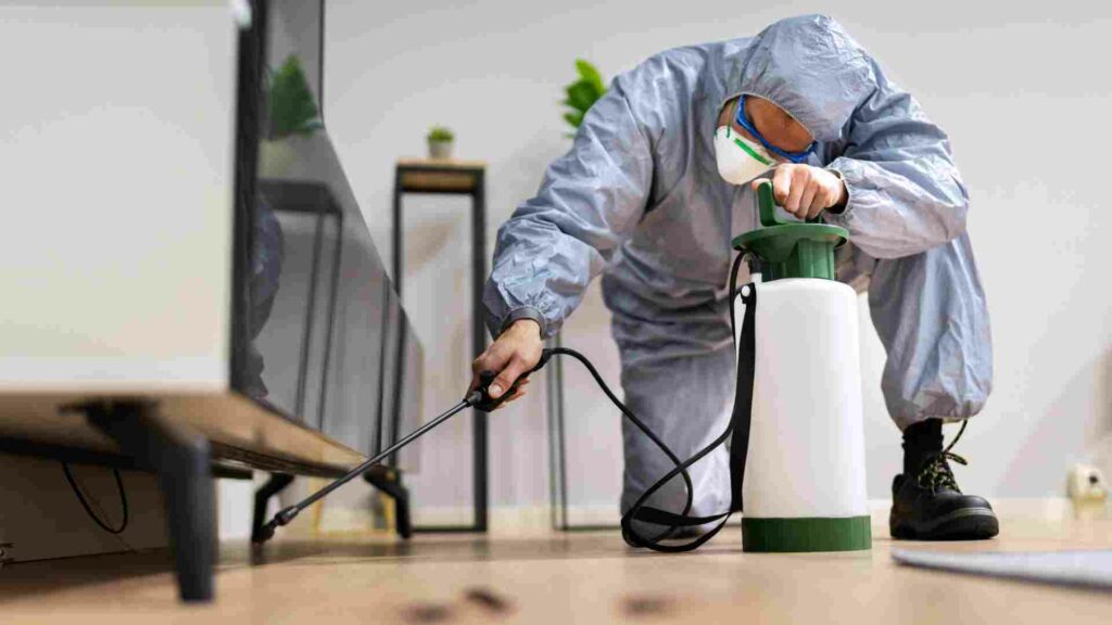 how to choose the best bed bug exterminator in your area