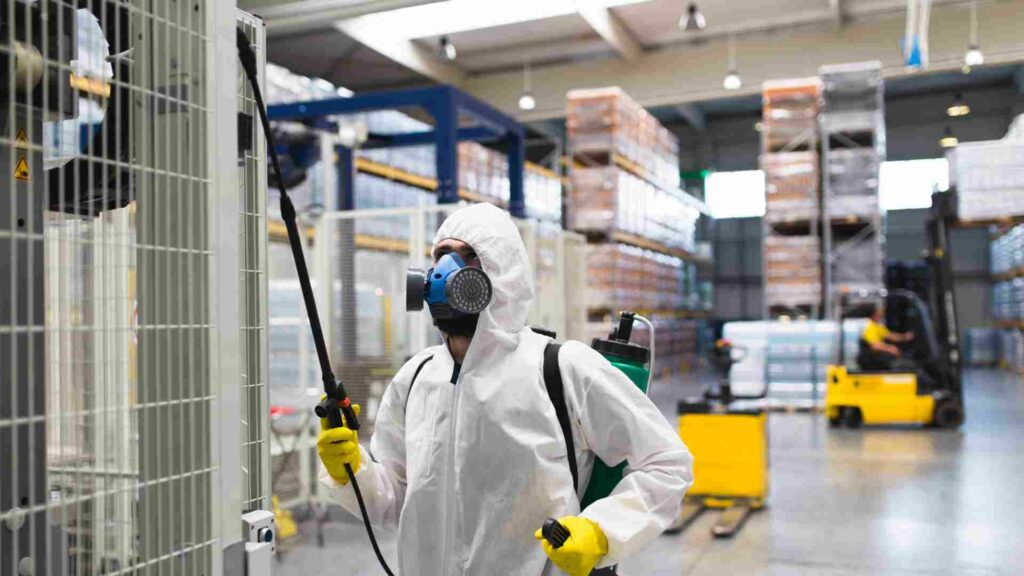 Common Pest Infestations in Toronto Warehouses and How to Address Them