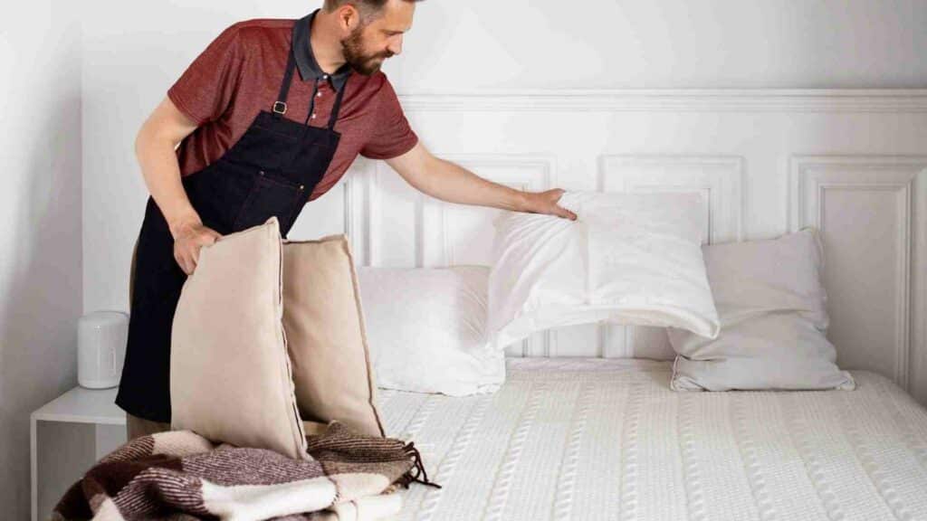 Sleep Tight, Toronto: How to Select the Perfect Bed Bug Exterminator