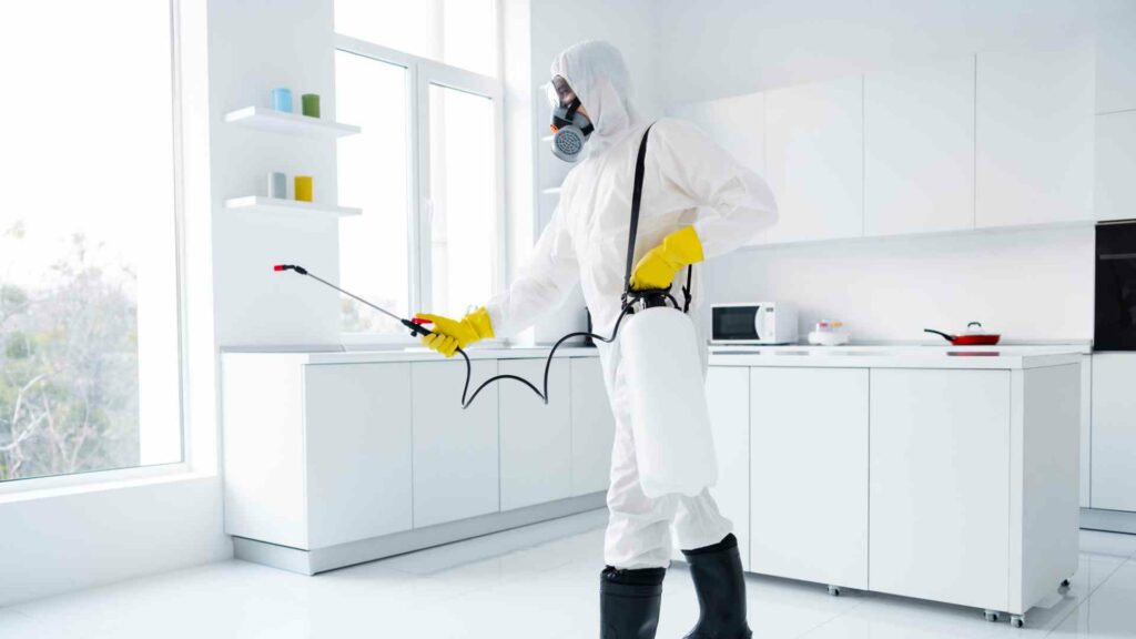 How to Keep Your Home Pest-free in Mississauga All Winter