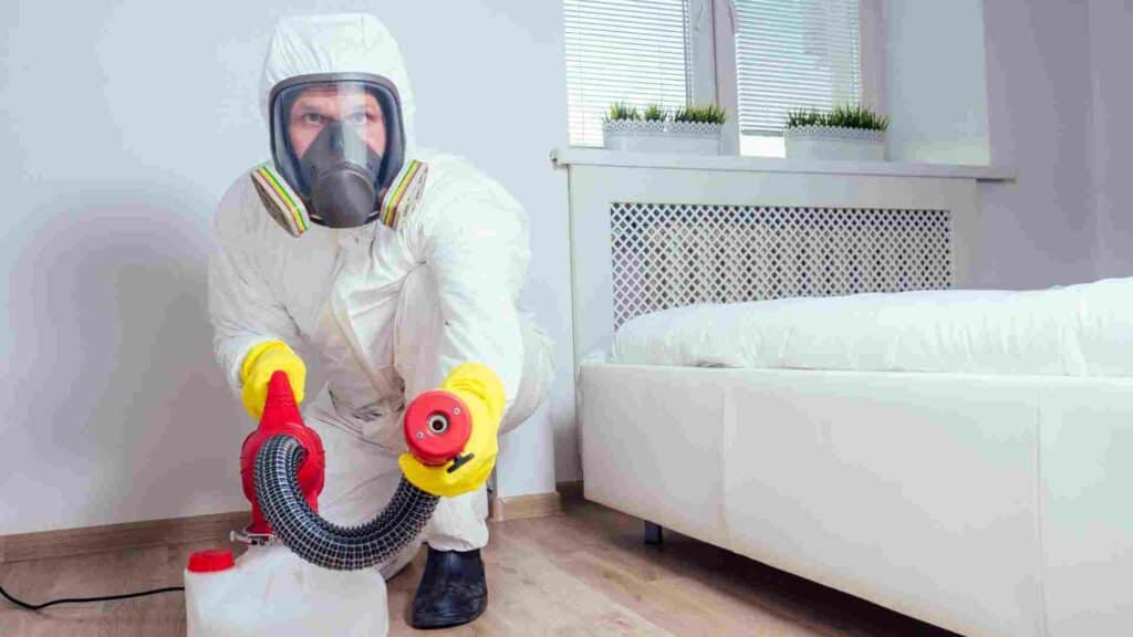 Conquer Bed Bugs: Expert Detection and Treatment Methods in Toronto