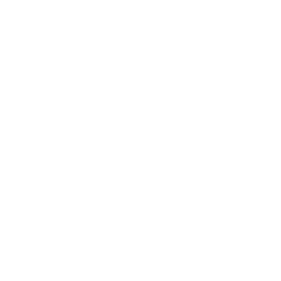 Mice Control Near Me