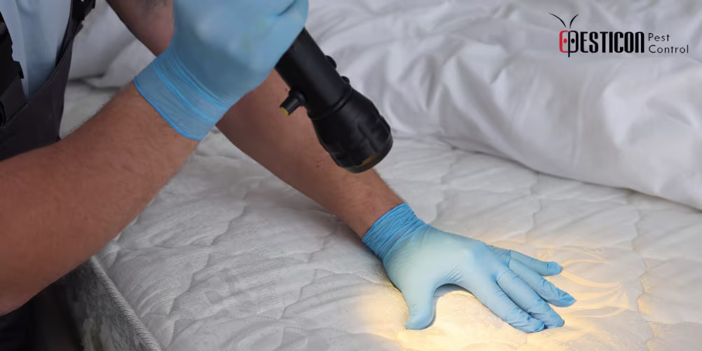 Pesticon technician inspecting mattress for bed bugs using flashlight during professional pest control service
