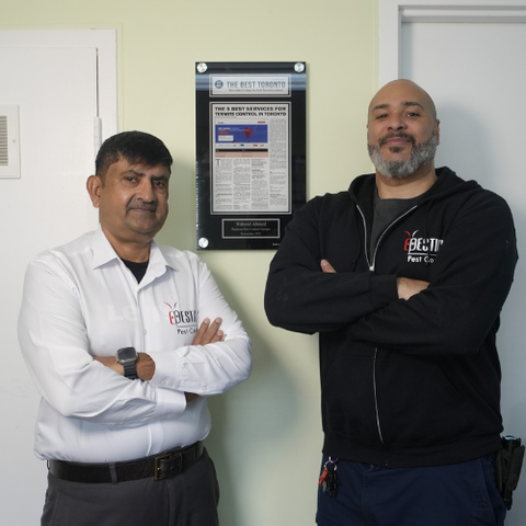 Pesticon owner Waheed Ahmed and Pest Specialist Jason Ward standing with industry awards and certifications at their Toronto office