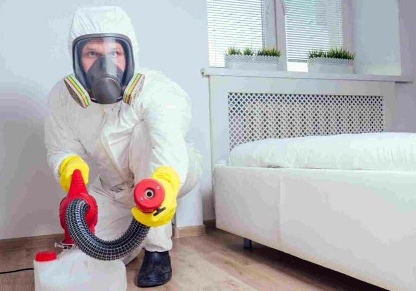 Conquer Bed Bugs: Expert Detection and Treatment Methods in Toronto