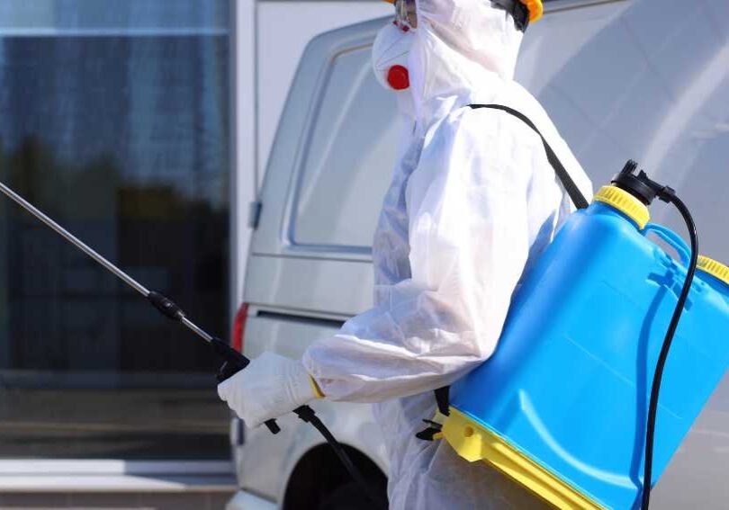 Explaining Why Certain Pest Control "Home Remedies" Don’t Work for Mice