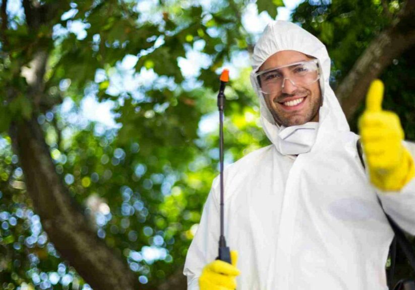 Go Green and Bug-Free: Natural Pest Control Remedies for Canadians