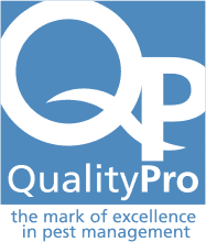 Quality Pro Excellence Certfied